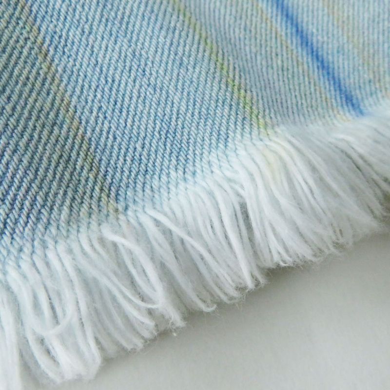 CHANEL P58766 Women's A-line/trapezoid Cut-off Denim Skirt