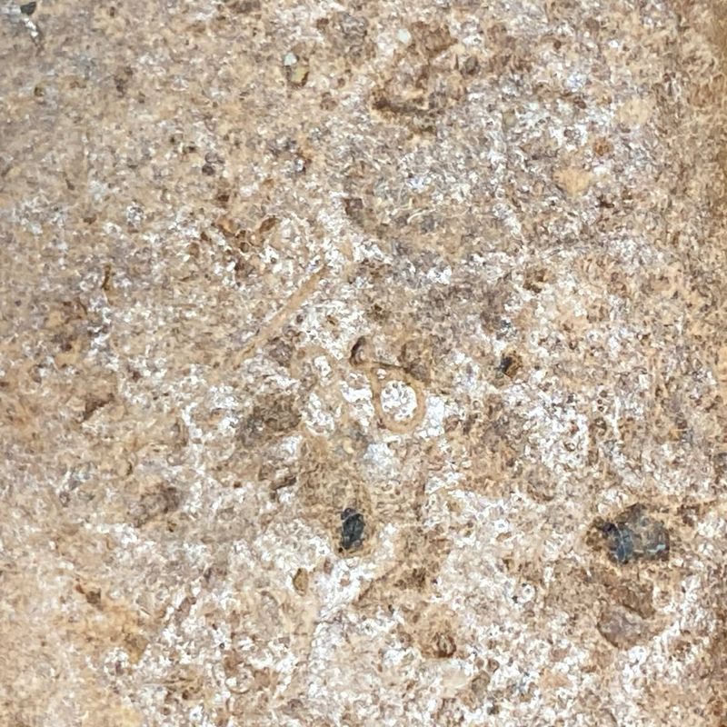 Chanel Sandals 36 Women - Beige X Silver X White Chain/wedge Sole Linen Leather