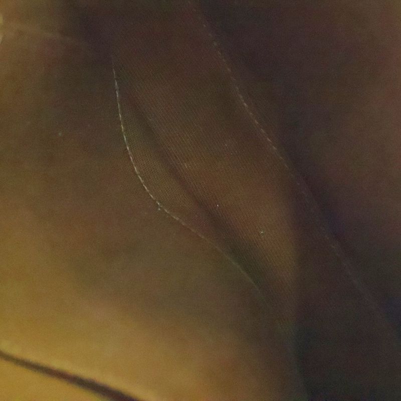 Celine Triomphe Mini Buzas Shoulder Bag Mini Bag Pochette Brown Gold Hardware