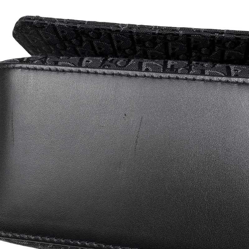 Christian DIOR Trotter Pattern Shoulder Bag Logo Street Chic Shoulder Bag