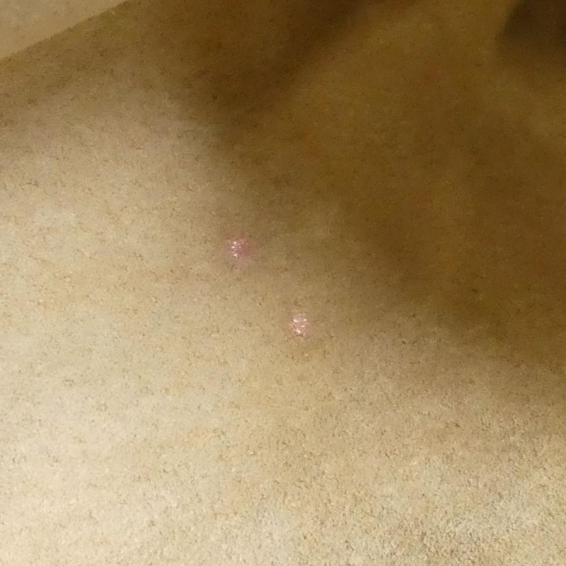 Fendi 8bt085 00vdu058 Bag