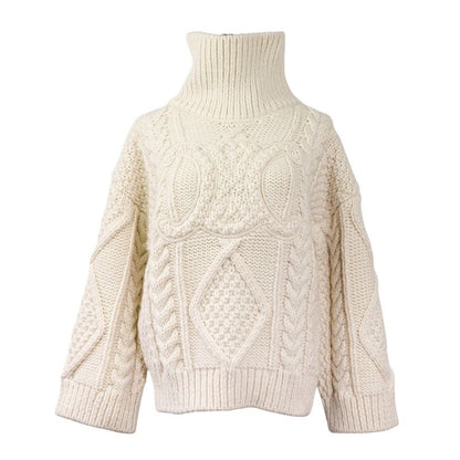 Celine Current Model Triomphe Alain Alpaca Wool Long Sleeve High Neck Sweater