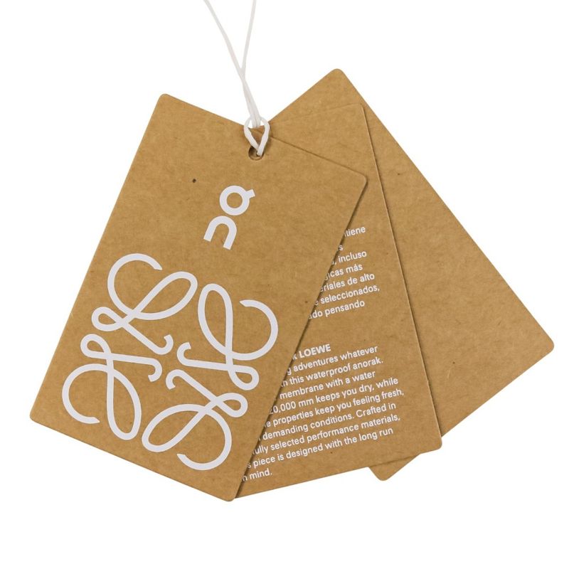 Unused Loewe on Collaboration Waterproof Anorak Gradient Anorak Jacket S929y02x0