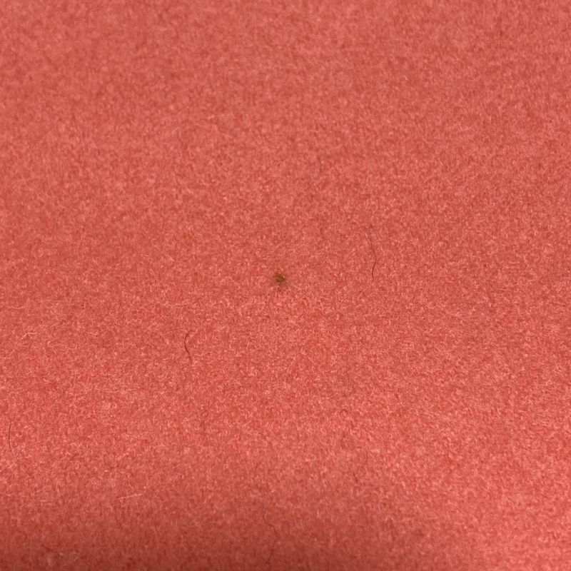 Good Hermes 100% Cashmere Logo Embroidery Large Scarf Pink-Orange Women's Used