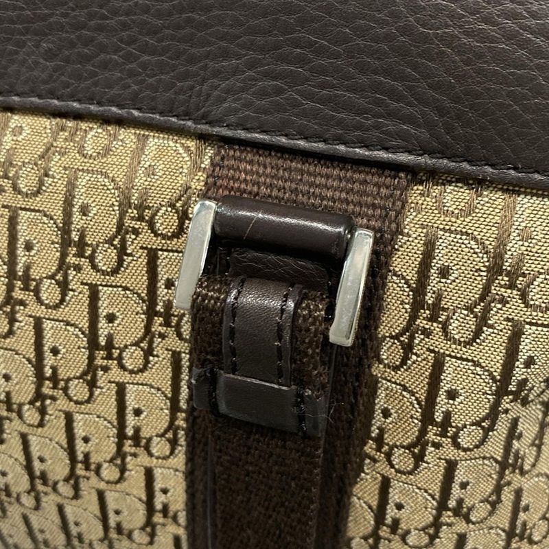 Dior/christian Dior Handbag Street Chic/trotter Beige And Dark Brown Mini