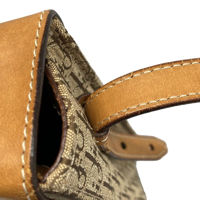 Dior/christian Dior Shoulder Bag Street Chic/trotter Beige And Light Brown