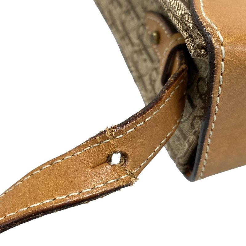 Dior/christian Dior Shoulder Bag Street Chic/trotter Beige And Light Brown