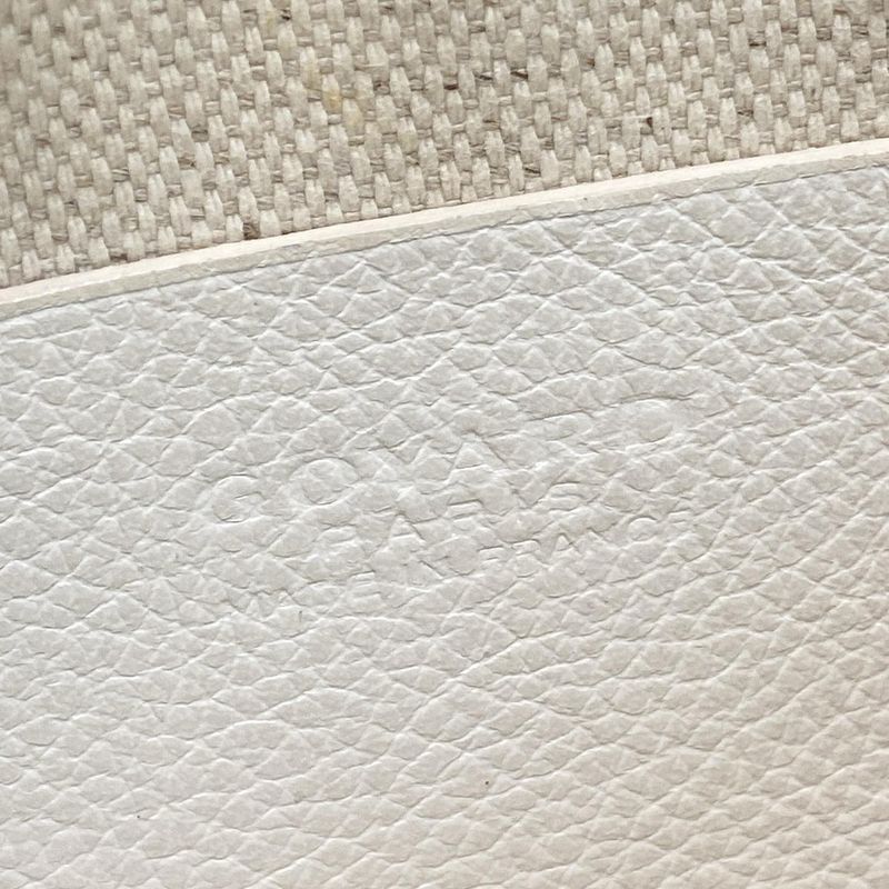Goyard Shoulder Bag Plume White Leather
