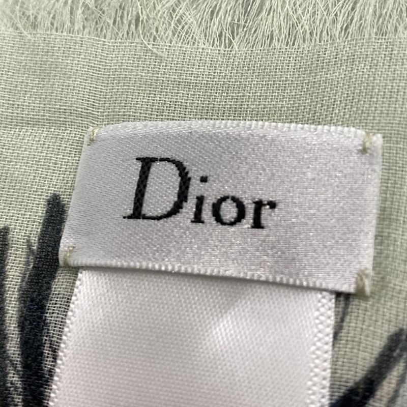 Dior/christian Dior Stole (shawl) Beautiful - 95tje331i916 Light Green X Black