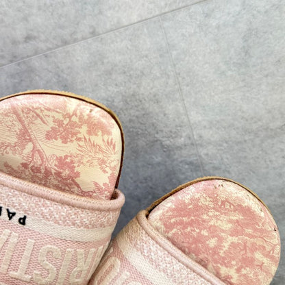 Christian Dior Dway Slide Sandals Embroidered Cotton Flat Sandals Mules 38 1 2
