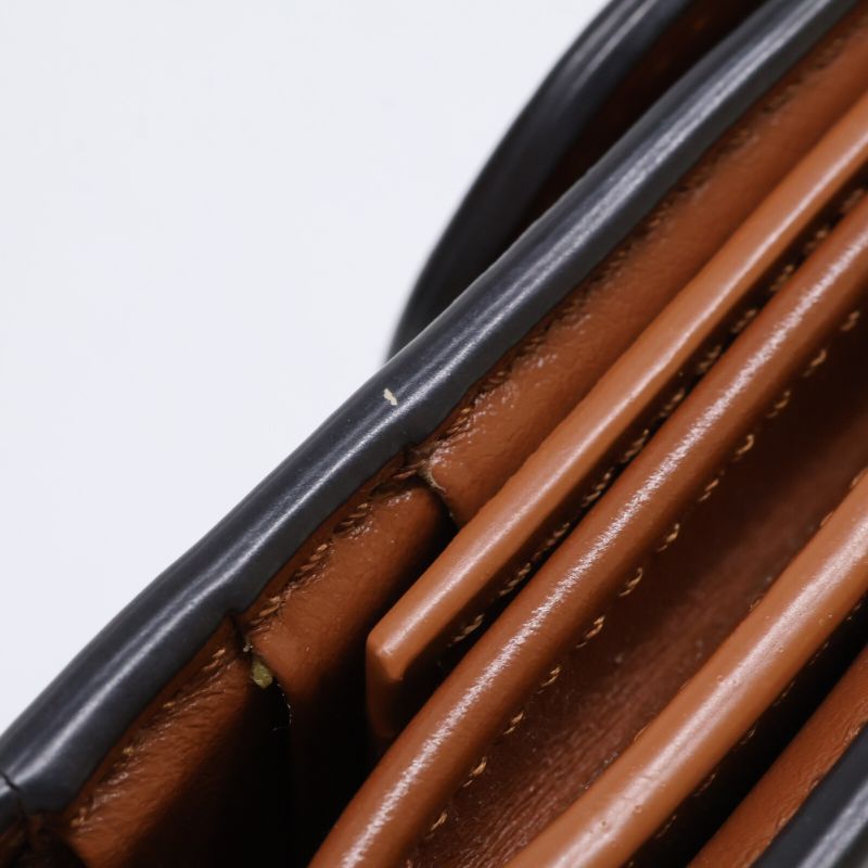 Celine Small Flap Wallet Triomphe In Shiny Smooth Lambskin