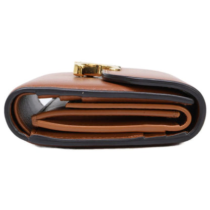 Celine Small Flap Wallet Triomphe In Shiny Smooth Lambskin