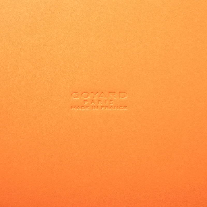 Goyard Vendome Mini Orange Leather Women's Goyard