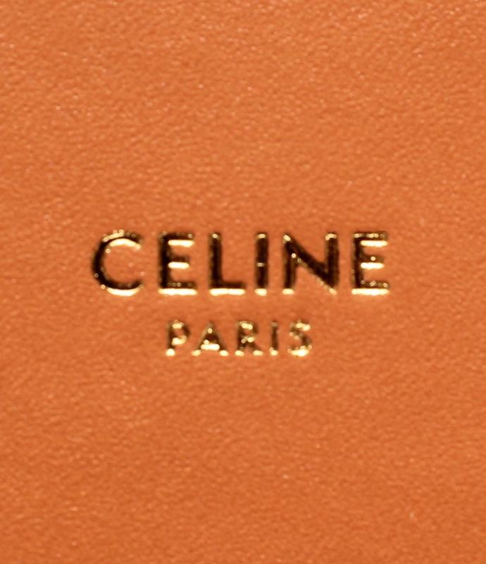 Celine Handbag Square Vanity Case Triomphe Canvas And Calfskin Ladies Celine
