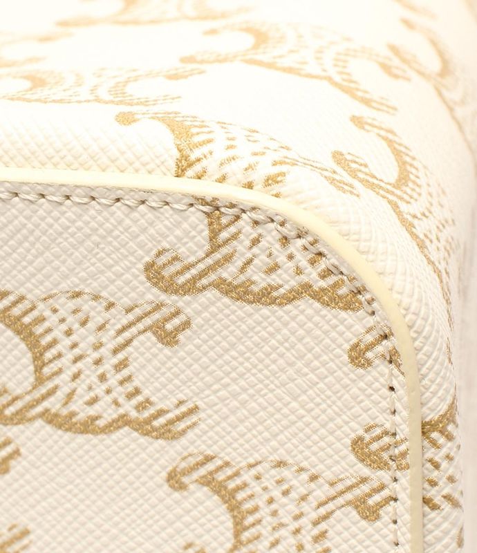 Celine Handbag Square Vanity Case Triomphe Canvas And Calfskin Ladies Celine