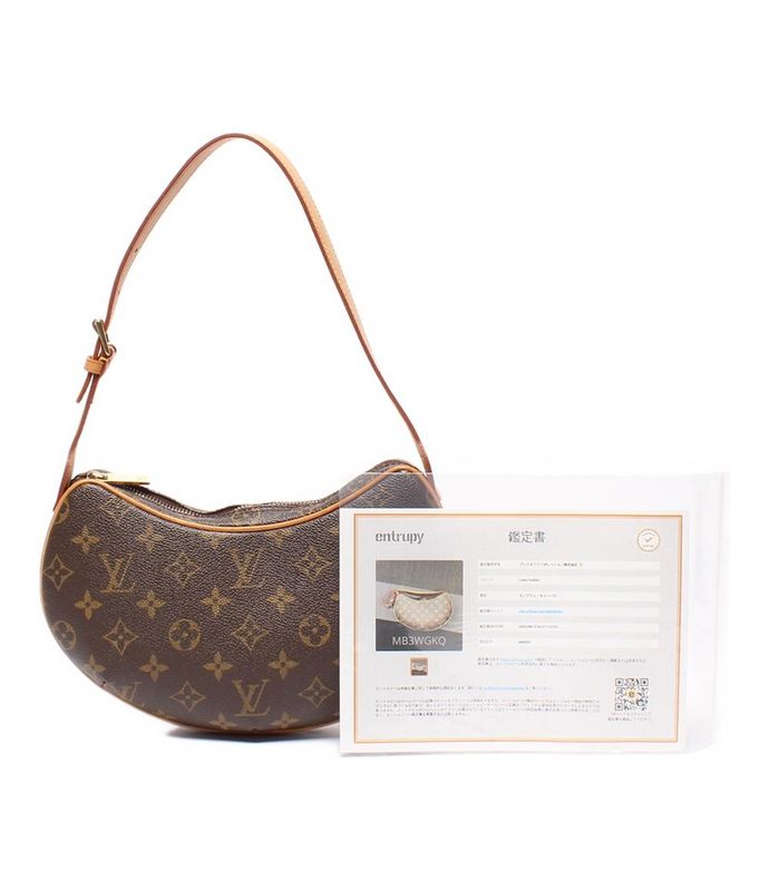 Louis Vuitton Handbag Shoulder Bag Shoulder One Shoulder Pochette Croiss Ant