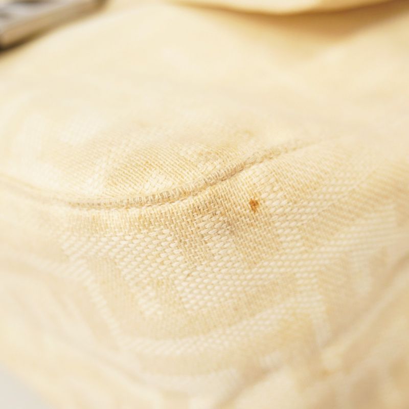 Fendi Handbag Zucca Mamma Bucket Canvas Beige Silver Hardware Women