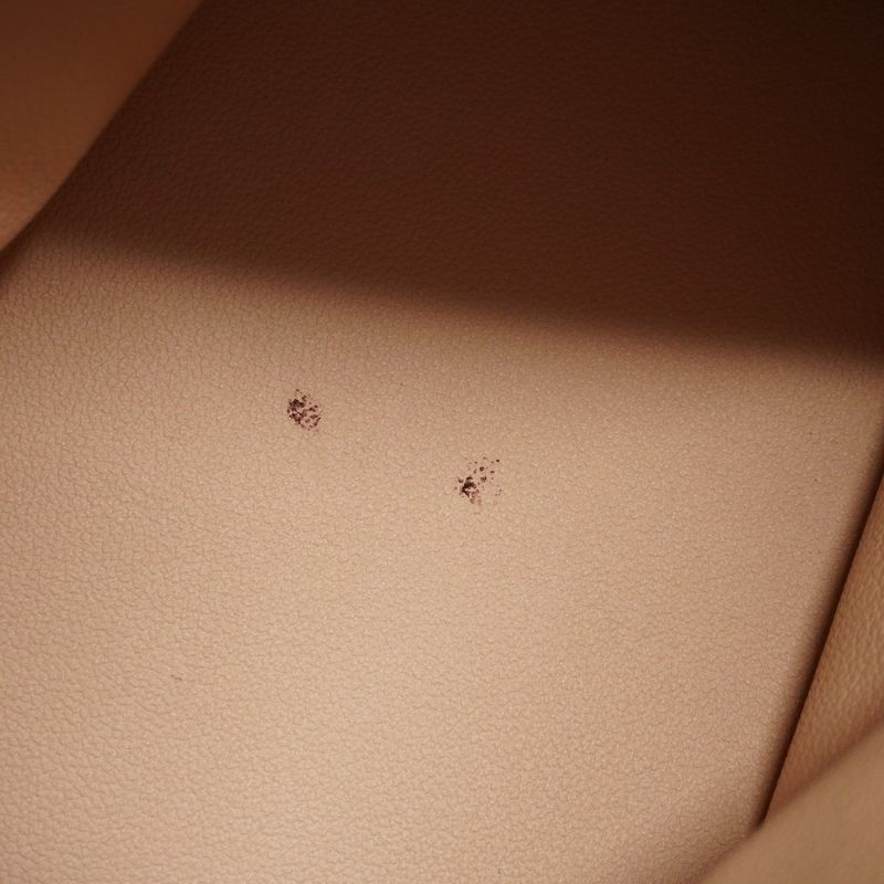 Louis Vuitton Tote Bag Monogram Bucket GM M42236 Brown Ladies