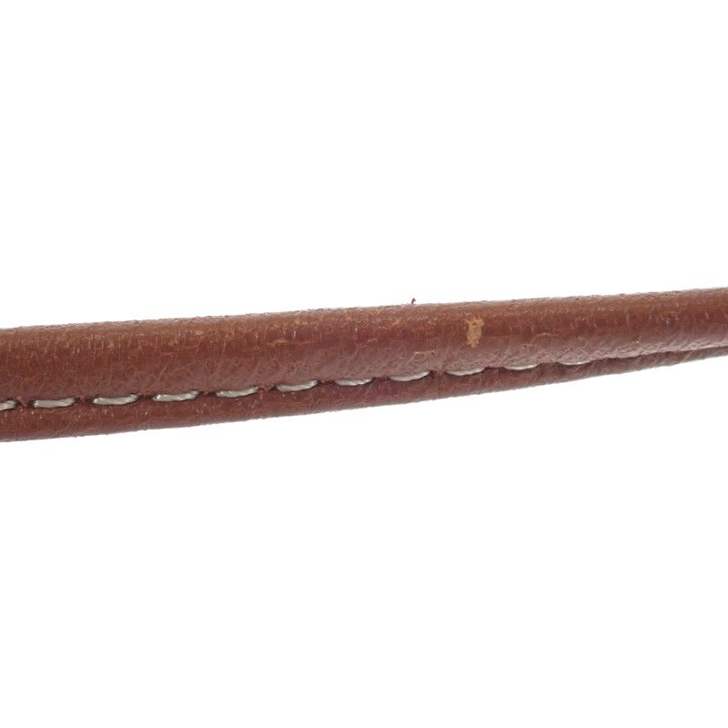 Celine Mobile Pouch 10g332cqd Shoulder Bag Phone Pouch Lambskin Triomphe Canvas