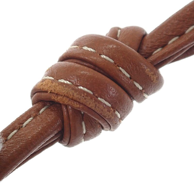 Celine Mobile Pouch 10g332cqd Shoulder Bag Phone Pouch Lambskin Triomphe Canvas