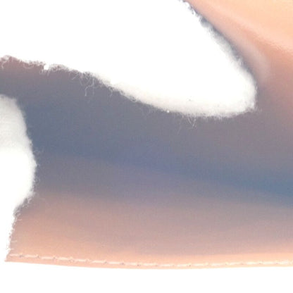 Celine Mobile Pouch 10g332cqd Shoulder Bag Phone Pouch Lambskin Triomphe Canvas