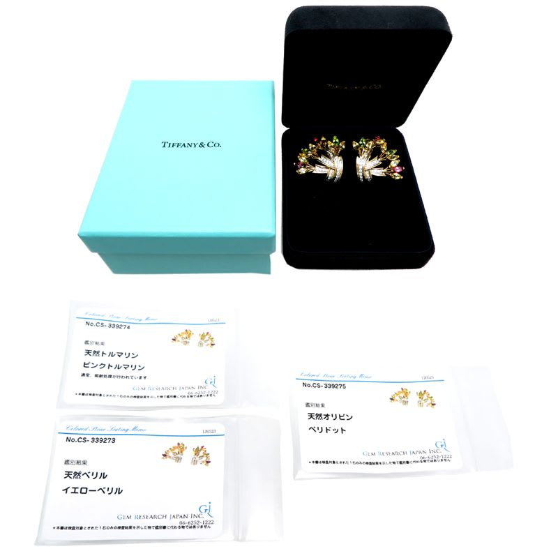 Tiffany & Co Schlumberger Earrings