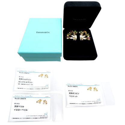 Tiffany & Co Schlumberger Earrings