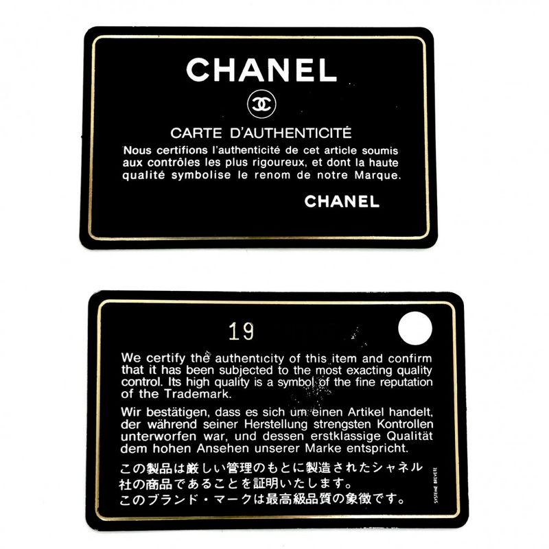 Chanel Backpack Women Paint Graffiti Backpack Act 2 Collection Coco Mark Coco