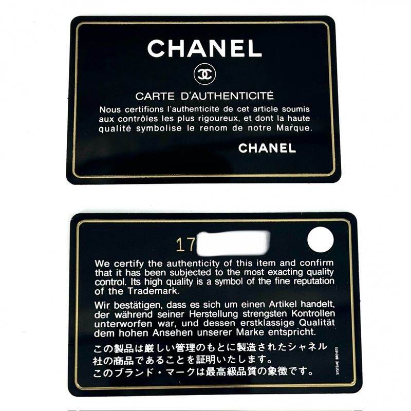 Chanel Chain Wallet Women Shoulder Bag Coco Mark Crossbody Wallet Chanel Caviar