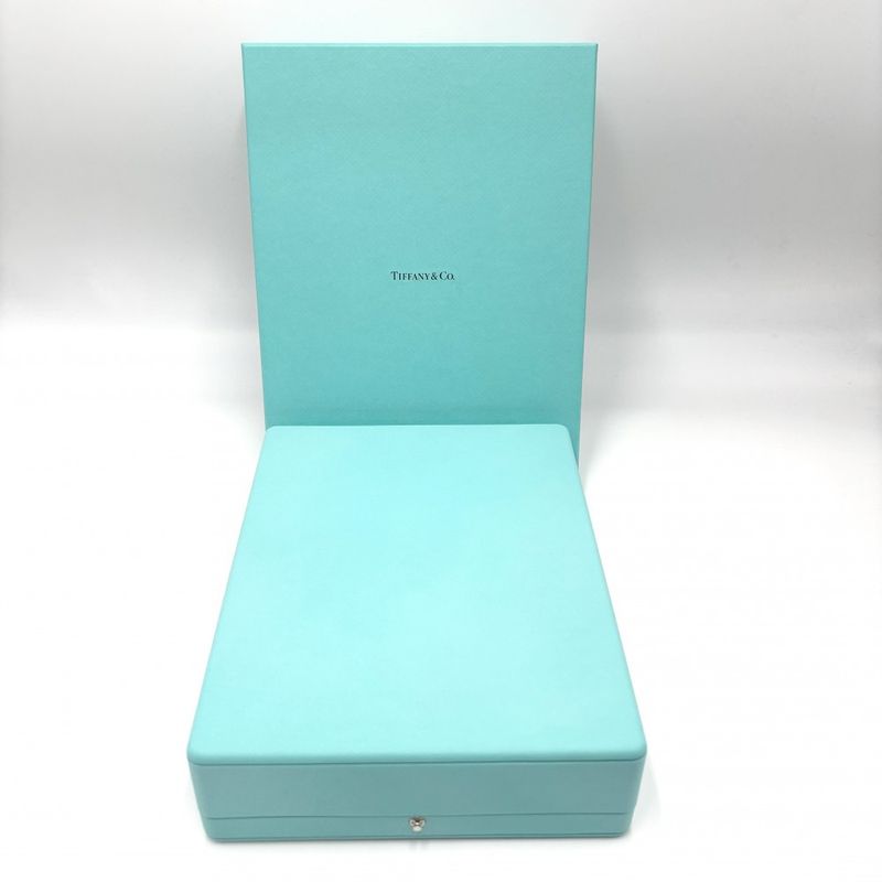 Tiffany & Co Necklace Unisex Hardware Small Link Long Necklace Jewelry Accessori