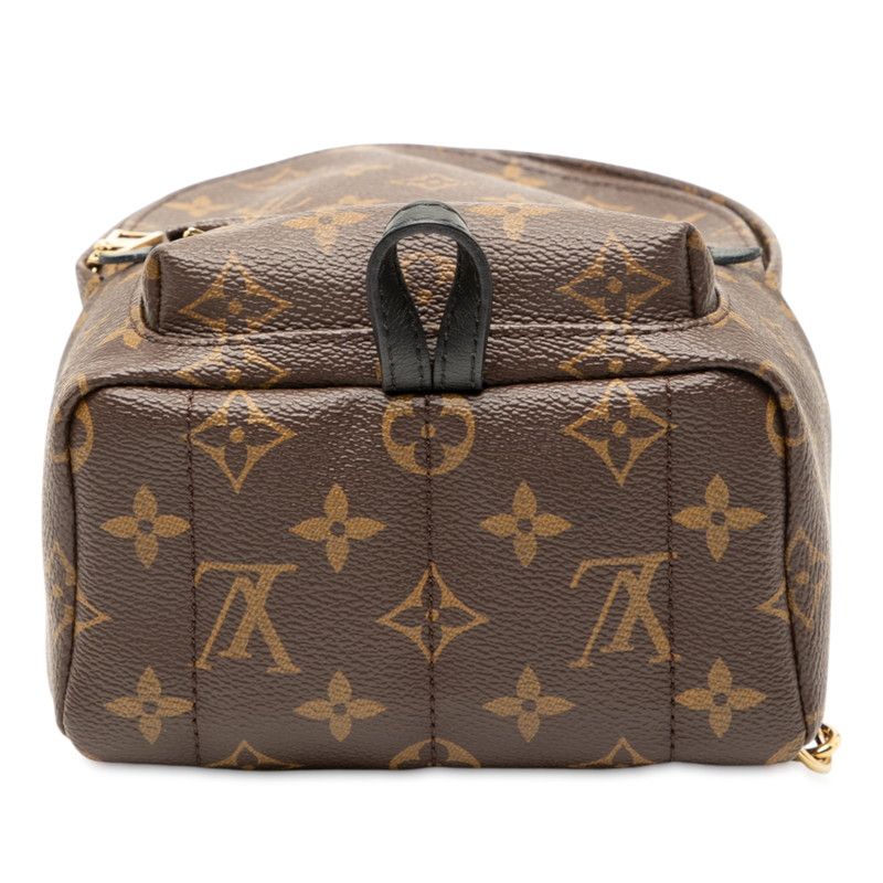 Louis Vuitton Monogram Palm Springs Mini Backpack M41562 Brown Black PVC
