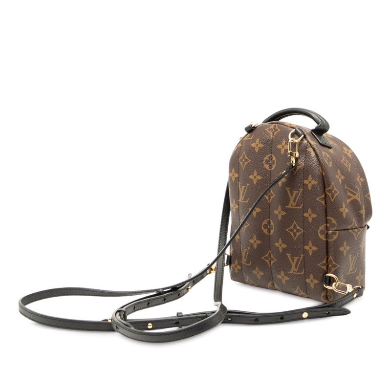 Louis Vuitton Monogram Palm Springs Mini Backpack M41562 Brown Black PVC