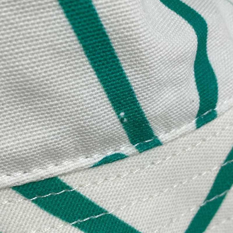 Christian DIOR Logo Bucket Hat Sean Stussy Hat Cotton Green White Women