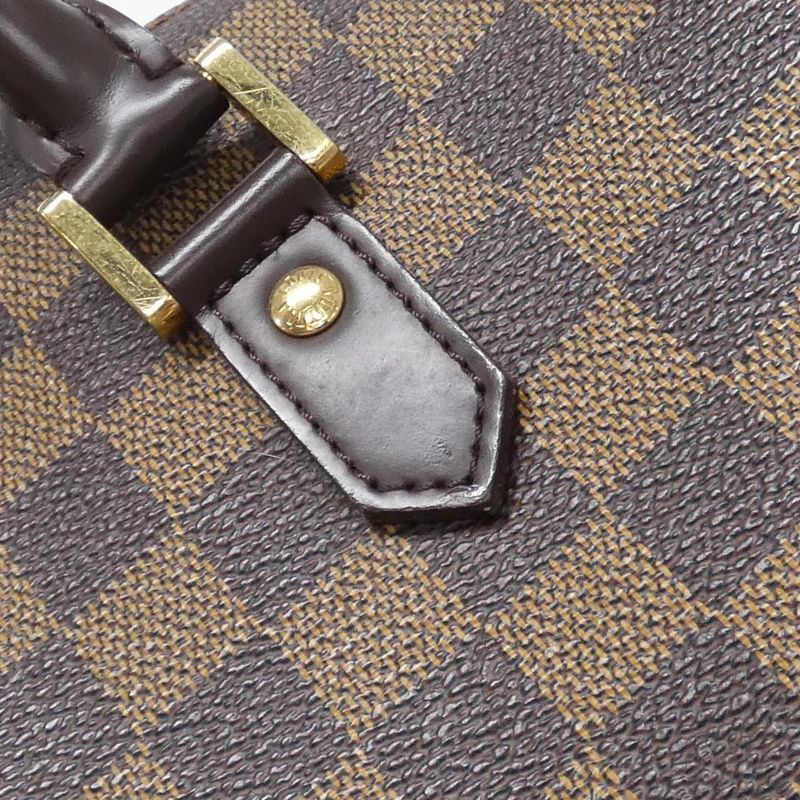 Louis Vuitton Damier Rivera MM N41434 Bag