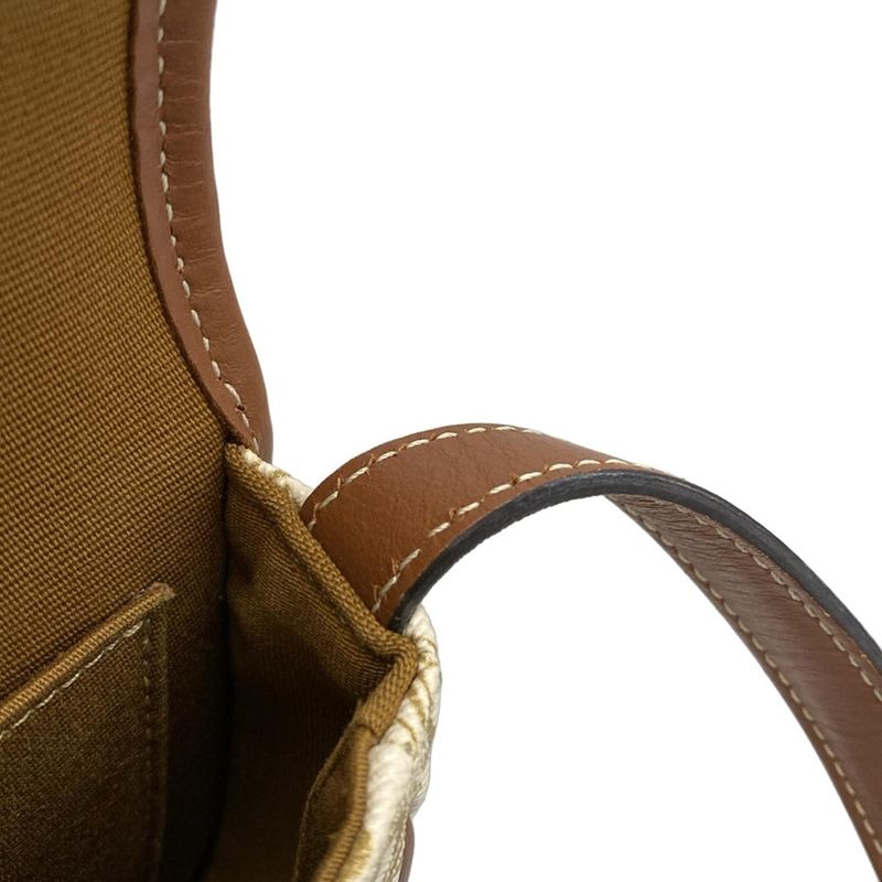 Celine Shoulder Bag Beauty Mini Buzas/triomphe Canvas 196702bzj.01bc White And