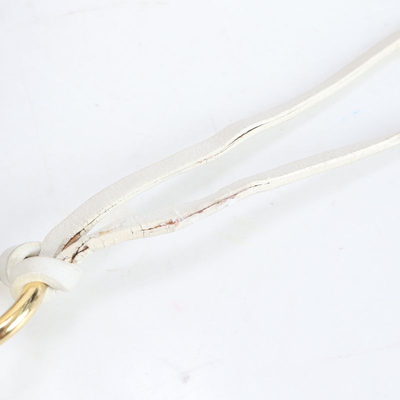 Celine Botanical Pattern Accessory Pouch Leather Shoulder Bag Shoulder One