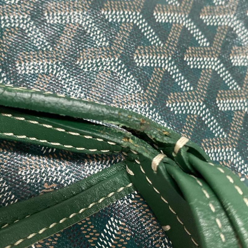Goyard Saint Louis PM Green×dark Green×multi Leather