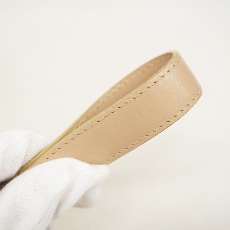 Chanel Tote New Travel Nylon Beige Chien Pan Gold Hardware Women's