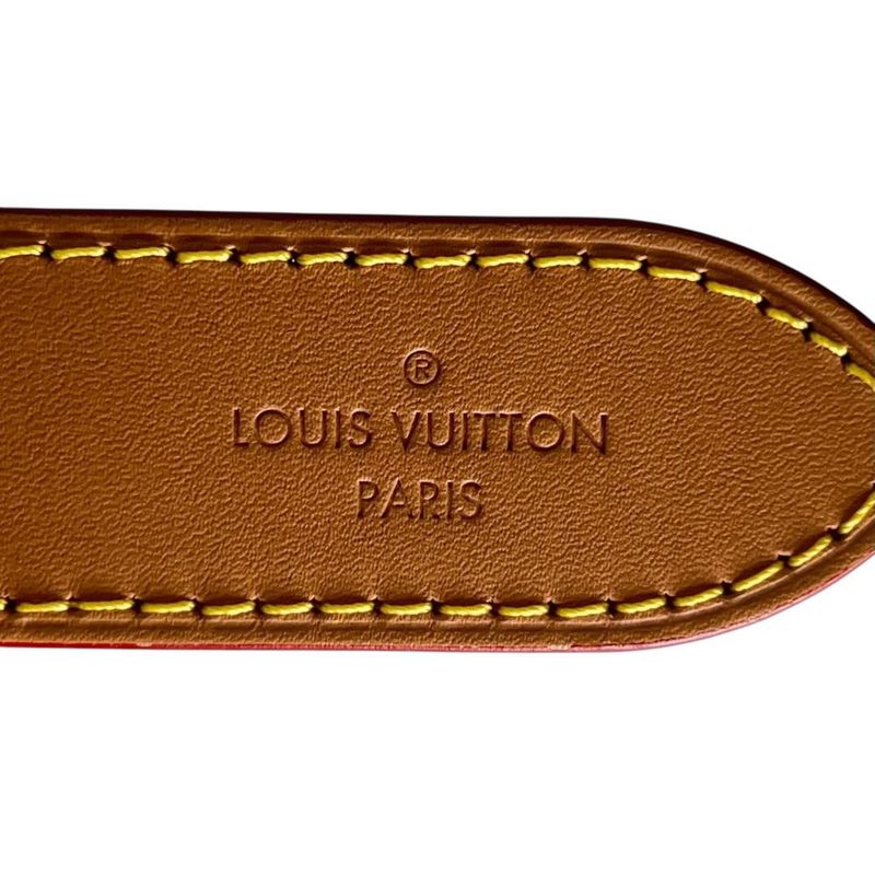 Louis Vuitton Shoulder Bag Women's Odeon NM PM Shoulder Crossbody Louis Vuitton