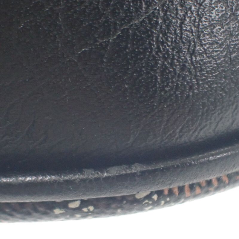 Goyard Petit Flo Bucket Bag Herringbone Peflotpmlty01cl01p Shoulder Bag Leather