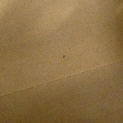 Louis Vuitton Monogram Looping GM M51145 Shoulder Bag