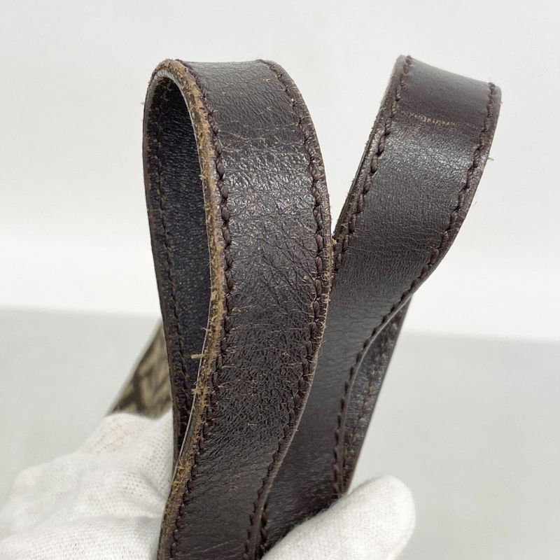 Fendi Tote Bag Zucchino Nylon Canvas Brown Silver Hardware Women's