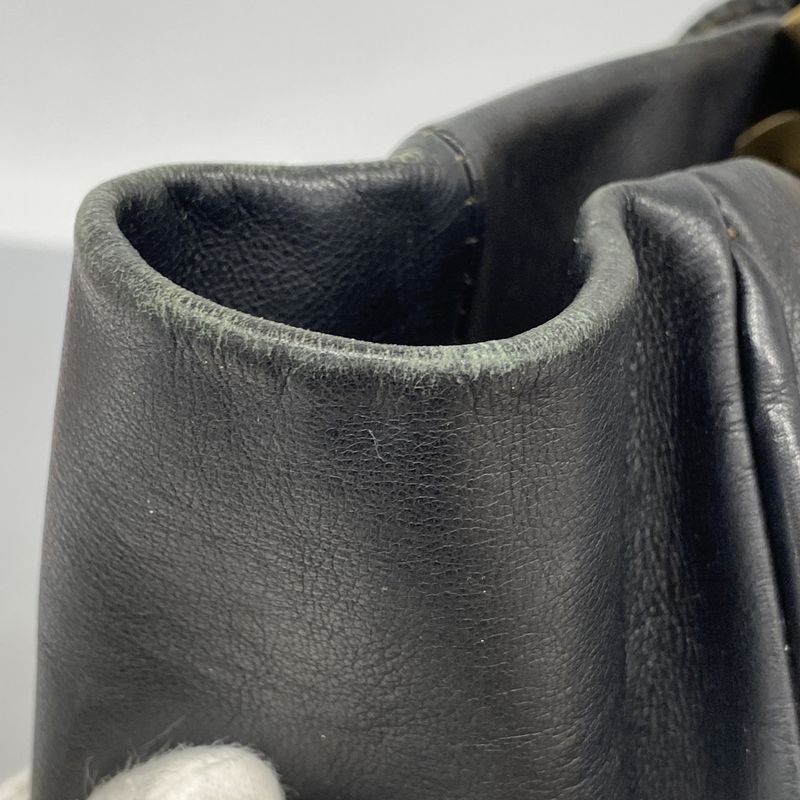 Chanel Tote Bag Camellia Lambskin Black Chien Pan Gold Hardware Women's