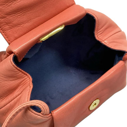 Loewe Shoulder Bag - Pink×gold×multi Mini Bag Tassel Leather