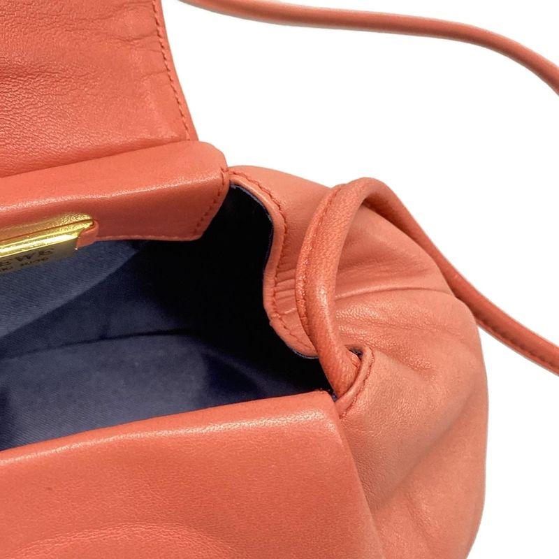 Loewe Shoulder Bag - Pink×gold×multi Mini Bag Tassel Leather