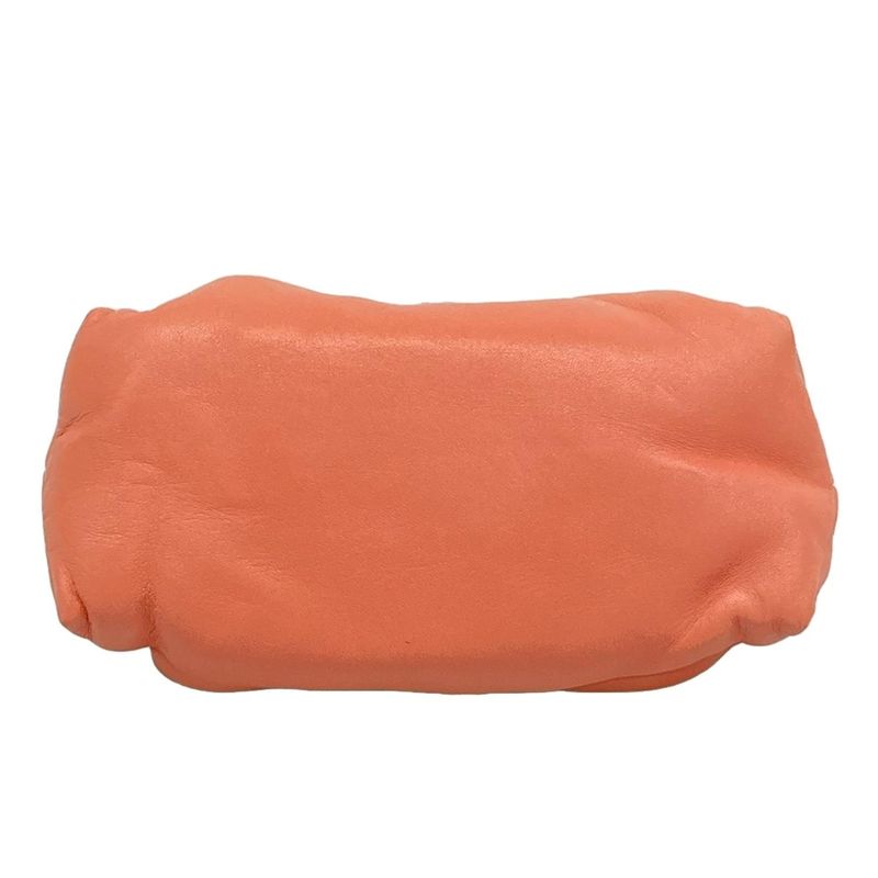 Loewe Shoulder Bag - Pink×gold×multi Mini Bag Tassel Leather