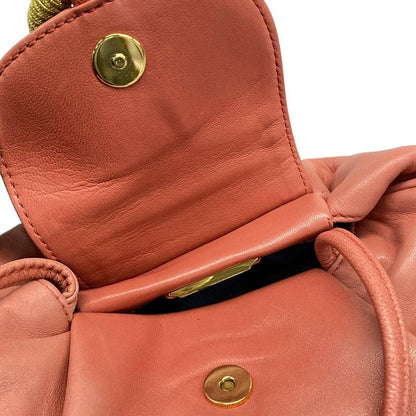 Loewe Shoulder Bag - Pink×gold×multi Mini Bag Tassel Leather