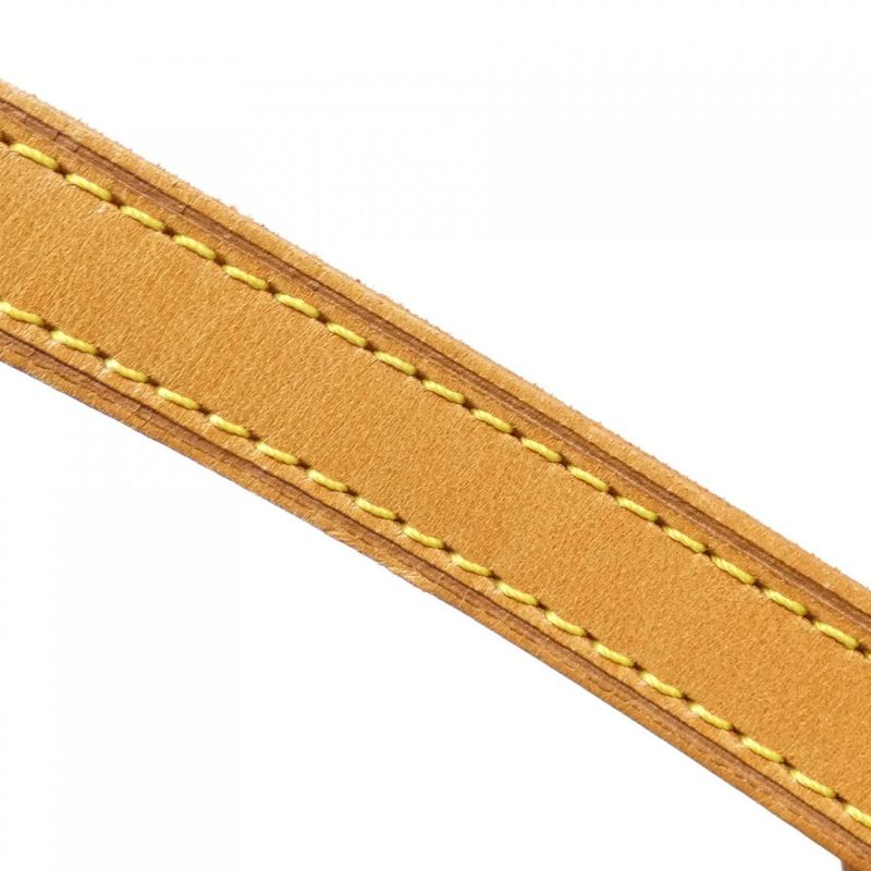 Louis Vuitton Monogram Blois M51221 Shoulder Bag