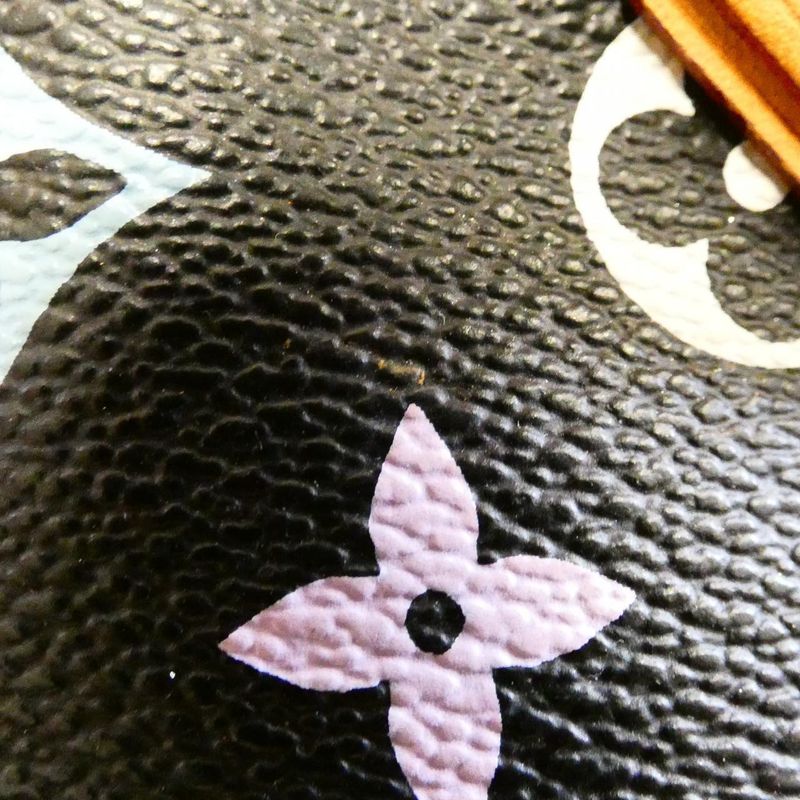 Louis Vuitton Multicolor Eudora M40048 Bag