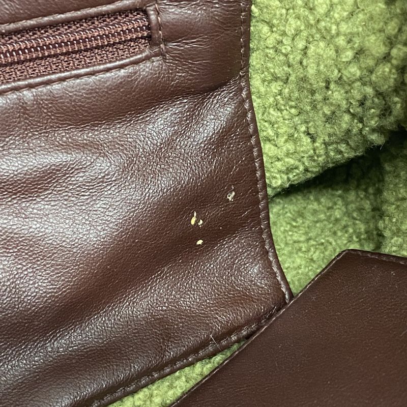 Chanel Handbag Mouton Brown Green Gold Hardware Women